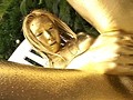 パイパン美少女金粉フィスト