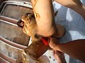 糞力 3 真剃M子＊栗鳥巣