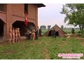 集団エロ地獄！ ～美女と戦争と収容所～