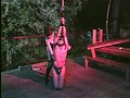 実録 カリスマ女王様の（裏）流出 SM調教白書 ～アメとムチ～ II