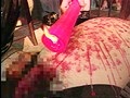 実録 カリスマ女王様の（裏）流出 SM調教白書 ～アメとムチ～ II