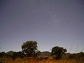 「野性の王国」番外編 ワケありおばさん看護師がアフリカ原住民の童貞青年と生中出しをヤる