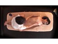 街角素人男子もっと悶絶マッサージIV ～シャイ男子の体は敏感で～
