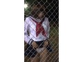 【スマホ推奨】金網レイプ学園 【スマホ推奨】金網レイプ学園