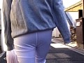 P-Line Collection
