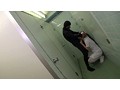 いきなりイラマチオされちゃった私
