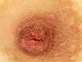 100人の乳首 第1集