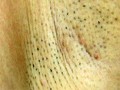 100人のわき 第2集
