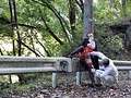 人妻と野外姦旅行 瀬戸友里亜 人妻と野外姦旅行 瀬戸友里亜