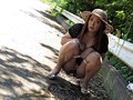 人妻と野外姦旅行 青山京香