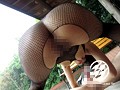露出人妻倶楽部 白鳥ゆな