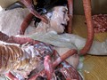 触手に溺れて― 巨乳妻、貞操崩壊 水城奈緒