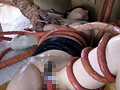触手に溺れて― 巨乳妻、貞操崩壊 水城奈緒