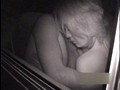 「赤外線盗撮シリーズ」Vol.22 CAR SEX