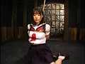 縄犯・美少女 つぼみ 縄犯・美少女 つぼみ