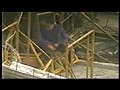 若い男同士のまぐわい