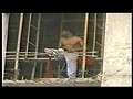 若い男同士のまぐわい
