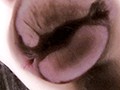 ヴァーチャルべろチュウ Lesbian Kiss ヴァーチャルべろチュウ Lesbian Kiss