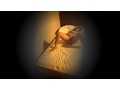 ぐちょ濡れオナニー盗撮25名どすけべマ●コが疼いてグリグリズボズボッ