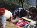 素人淫女隊 OL 主婦 別居妻