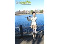 素人 気狂い マ●コ 生中出し 010 橋本莉奈 19歳