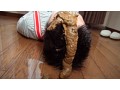 高身長お姉さんとS学生のショタスカドラマ ゆうたくんのスカトロ大冒険