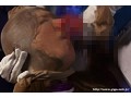 女司令官ふたなりハードレズアクメ洗脳