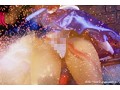 ヒロイン魔装 セーラープリースト 立花さや ヒロイン魔装 セーラープリースト 立花さや