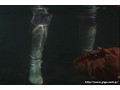 ヒロイン触手牢獄 電脳特捜インスペクター 筒井まりか ヒロイン触手牢獄 電脳特捜インスペクター 筒井まりか