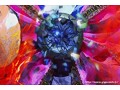 SUPER HEROINE アクションウォーズ 愛の戦士 セーラープリースト 加瀬あゆむ