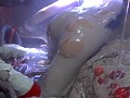 ヒロイン消化触手地獄 シャイナーメルト編 辻本りょう