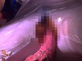 ヒロイン消化触手地獄 シャイナーメルト編 辻本りょう