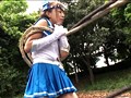 ヒロイン陵辱 Vol.13 セーラーマリン編