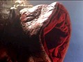 ヒロイン触手凌辱 Vol.06 天空戦隊ウィングフォース編 藤森ねね