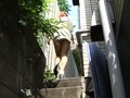 ムチ 第3巻 木下千夏