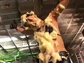 泡責め 第1巻