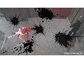 千花爛漫ブシドーガールズ