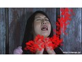 怪異日誌 いまりロブスター