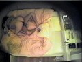潜入盗撮！ラブホテルコレクション 人妻たちのリアル浮気現場ガチ生盗撮