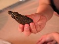 人間崩壊シリーズ32 ゲロスカ痴女 M男強制食糞の宴3