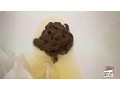 排泄大陸 6 糞尿3人娘