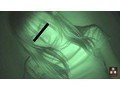 盗撮PEEPING 泥酔欲望解放オナニー vol.1
