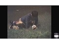 女子校生レイプ隠撮 17