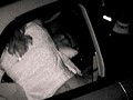 超接近盗撮！CAR SEX ～ホテルまで我慢できないカップル達～