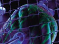 HyperIdeaPocket 究極の尻フェチマニアックス 桜あやめ