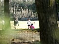 催眠性交 女子アスリートの剥き出しの性欲 ラクロス部編