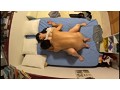 イケメンが熟女を部屋に連れ込んでSEXに持ち込む様子を盗撮したDVD。 5～強引にそのまま中出ししちゃいました～