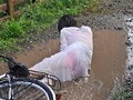 晴れ時々、雨 ～濡れ透ける人妻の下着と柔肌～ 羽月希