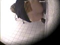 便所盗撮 脱糞！放尿！失禁！熟女たちの究極羞恥！！