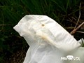 撮られてるとも知らずに！もう限界！尻丸出し野外放尿！！